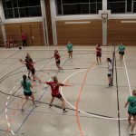 2016_01_23 Landesliga Frauen